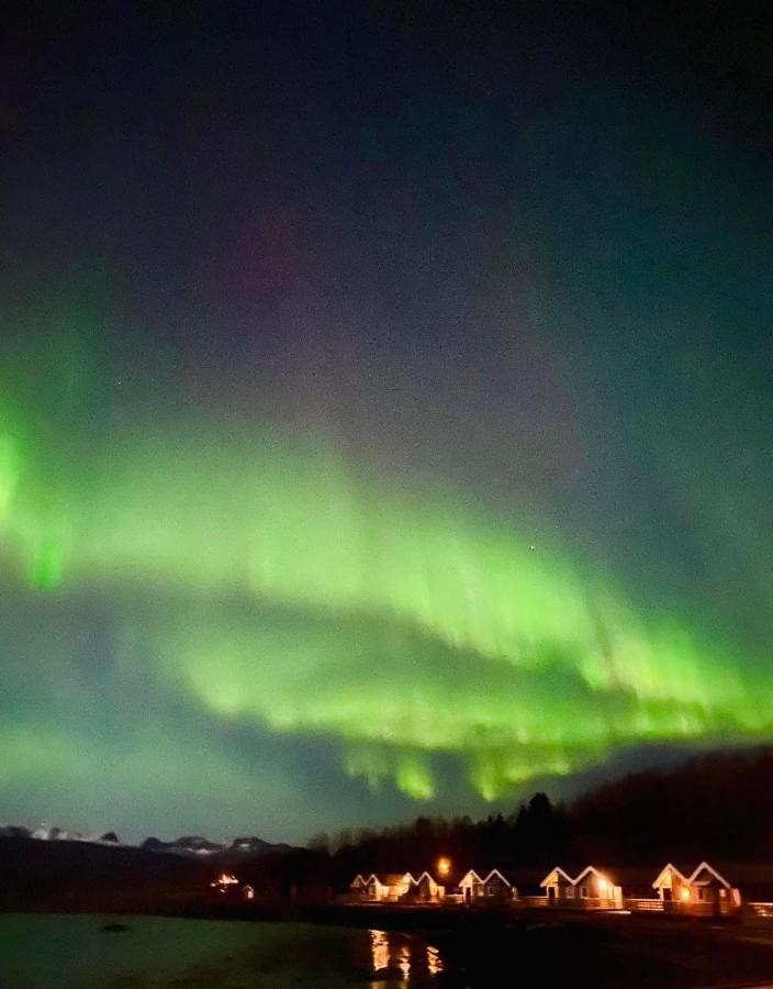 Idyllisk Sjohus Pa Naurstad Bodø Exteriér fotografie